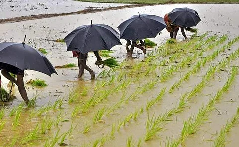 பருவ மழைக்காலம்