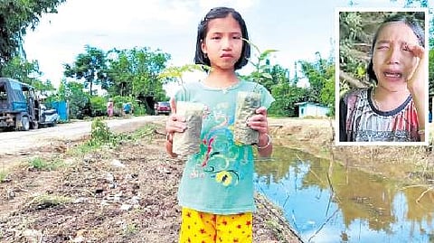 பசுமைத் தூதுவராக ஐந்தாம் வகுப்பு மாணவி!