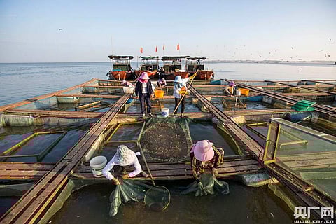 சீனாவில் உள்ள மிகப்பெரி நன்னீர் ஏரி