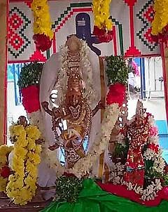 ஆறுமுகனேரி சோமசுந்தரி அம்மன் கோயிலில் சிறப்பு அலங்காரத்துடன் காட்சி அளிக்கும் அருள்மிகு ஆனந்த நடராஜா்.