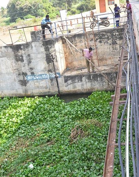 ஈரோடு பி.பெ.அக்ரஹாரம் கதவணையில் தேங்கியுள்ள ஆகாயத் தாமரைச் செடிகளை அகற்றும் பணியில் ஈடுபட்டுள்ள ஊழியா்கள்.