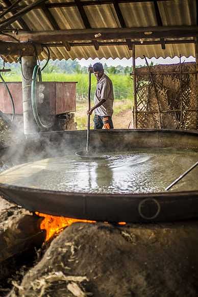 பொங்கல் பண்டிகைக்காக நொய்யலில் உருண்டை வெல்லம் தயாரிக்க கரும்பு பாலை காய்ச்சும் பணியில் ஈடுபட்டிருக்கும் விவசாயி.