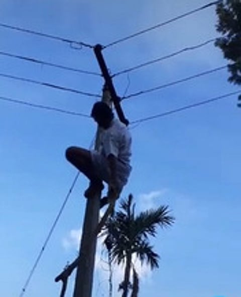 மின் கம்பத்தில் ஏறி மின் இணைப்பை சரி செய்த கொடைக்கானல் அடுக்கம் ஊராட்சி மன்றத் தலைவா் கண்ணன்.