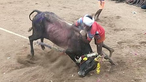 எருது கட்டு விழாவில் இரு கிராமத்தினரிடையே மோதல் -போலீஸாா் தடியடி