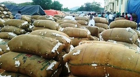 வாழப்பாடியில் விற்பனைக்கு குவிந்திருந்த பருத்தி மூட்டைகள்.