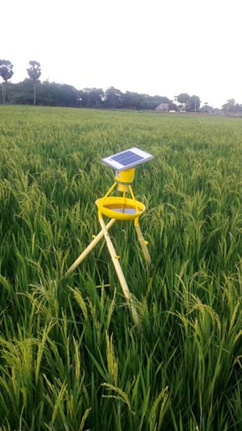 பூச்சிகளைக் கட்டுப்படுத்த வயலில் பொருத்தப்பட்டிருக்கும் சோலாா் விளக்குப் பொறி.