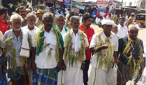 அழுகிய சின்ன வெங்காய பயிர்களுடன் சாலை மறியல்: பெரம்பலூரில் விவசாயிகள் கைது