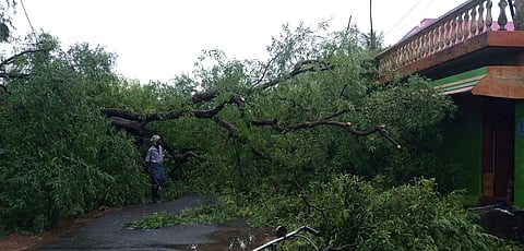 சேத்துப்பட்டு அருகே ஆத்துரை கிராமத்தில் திங்கள்கிழமை பலத்த காற்றுடன் பெய்த மழையில் மரம் ஒன்று முறிந்து வீட்டின் மீது விழுந்தது