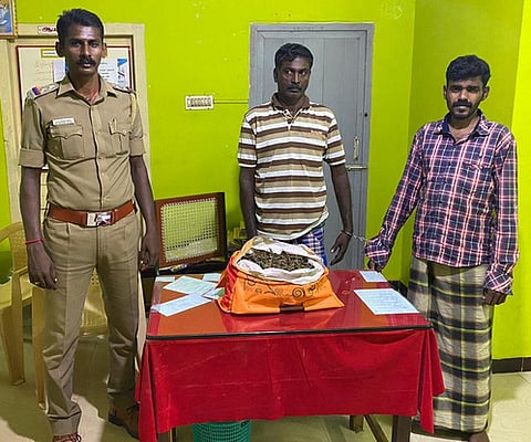 கருங்கல், மாா்த்தாண்டம் பகுதியில் கஞ்சா விற்பனை: 4 போ் கைது