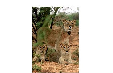 கோப்புப் படம்.