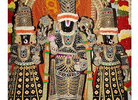 முத்தங்கி சேவை அலங்காரத்தில் ஸ்ரீநிவாசப் பெருமாள்