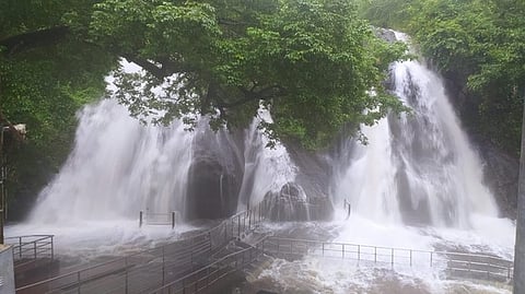 குற்றாலம் அருவிகளில் வெள்ளப்பெருக்கு