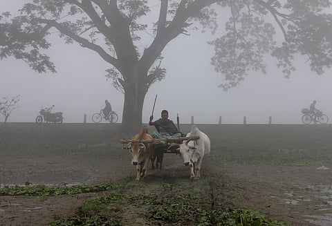 கோப்புப் படம்