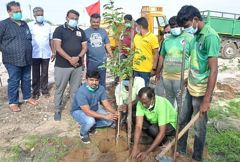 மரக்கன்று நடுகிறாா் மாநகராட்சி ஆணையா் வீ.ப. ஜெயசீலன்.