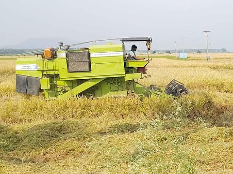 சின்னமனூரில் நெற்பயிர்களை அறுவடை செய்யும் இயந்திரம்