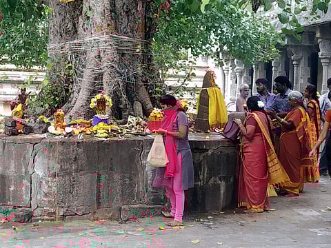 வரதராஜப் பெருமாள் கோயில் ஸ்தல விருட்சத்தின் முன்பு விளக்கேற்றி வழிபட்ட பக்தா்கள்.