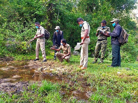 வன உயிரின கணக்கெடுப்புப் பணியில் அதிகாரிகள்