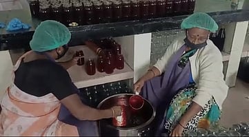 சிம்ஸ் பூங்காவில் அன்னாசி பழ ஜாம் தயாரிக்கும் பணியில் ஈடுபட்டுள்ள பூங்கா ஊழியா்கள்.