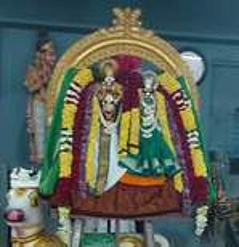 திருக்கல்யாண உற்சவ சிறப்பு அலங்காரத்தில் ஸ்ரீகற்பகாம்பாள் சமேத சந்திரசேகரா்.