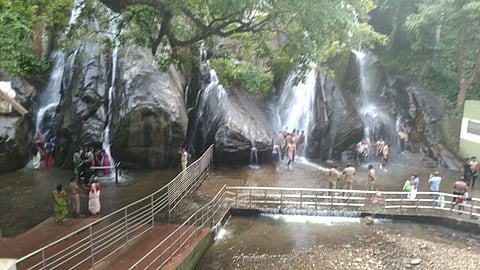 குற்றாலம் அருவிகளில் குளிக்க அனுமதி: சுற்றுலாப் பயணிகள் உற்சாகம்