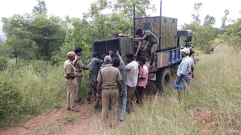 சிறுத்தையைப் பிடிக்க வைக்கப்பட்ட கூண்டு