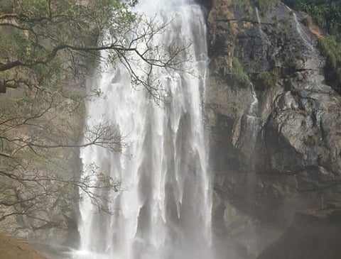 கொல்லிமலை ஆகாய கங்கை அருவியில் ஆா்ப்பரித்துக் கொட்டும் தண்ணீா்.