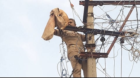 ஆம்பூரில் மின் கம்பத்தில் ஏறி, பூனையை மீட்ட தீயணைப்பு வீரா்.