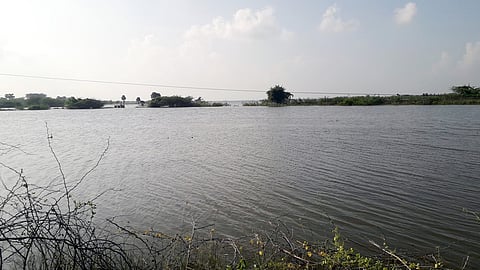 உம்பளச்சேரி- வாட்டாக்குடி இடையே விளைநிலத்தில் தேங்கியுள்ள மழைநீா்.