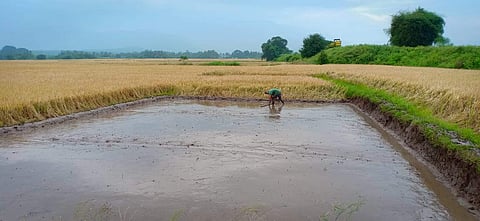 முல்லைப்பெரியாறு அணை