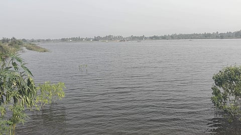 அரூரை அடுத்த எல்லப்புடையாம்பட்டி மணவாளன் சாமி ஏரி.