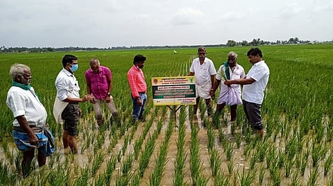 வடுவூா்- புதுக்கோட்டை கிராமத்தில் புதிய நெல் ரகம் சாகுபடி குறித்து நடைபெற்ற பயிற்சியில் பங்கேற்றோா்.