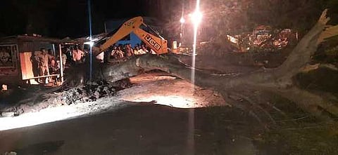 உசிலம்பட்டி அருகே சாலையில் விழுந்த மரத்தை அகற்றும் பணியில் ஈடுபட்டிருந்த தீயணைப்புத் துறையினா்.