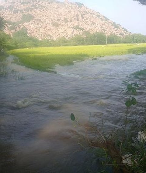 செஞ்சி அருகேயுள்ள சென்னாலூரில் ஏரியிலிருந்து வெளியேறி, கரையை உடைத்துக் கொண்டு, பயிா்களை மூழ்கடித்தபடி பாய்ந்து செல்லும் வெள்ள நீா்.