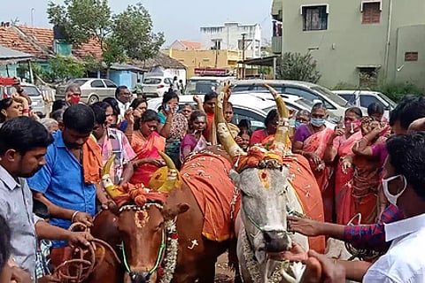 கோபூஜை செய்த விவசாயிகள், பொதுமக்கள்.