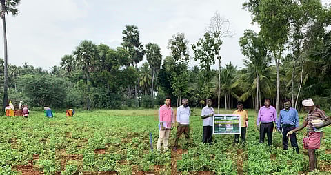 கமுதி அருகே தவசிக்குறிச்சியில் நிலக்கடலை சாகுபடியை நேரில் ஆய்வுசெய்த மாவட்ட வேளாண்மை இணை இயக்குனா் குணபாலன்.