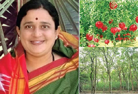 கைவிடப்பட்ட நிலத்தில் 5 ஆயிரம் மரங்கள்!