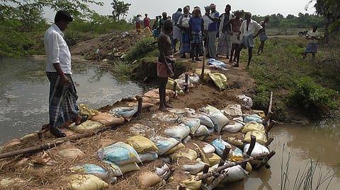 மல்லனூா் கண்மாயில் வெள்ளிக்கிழமை உடைப்பு ஏற்பட்டதால், மணல் மூட்டைகளைக் கொண்டு அடைக்கும் பணியில் வெள்ளிக்கிழமை ஈடுபட்ட விவசாயிகள்.