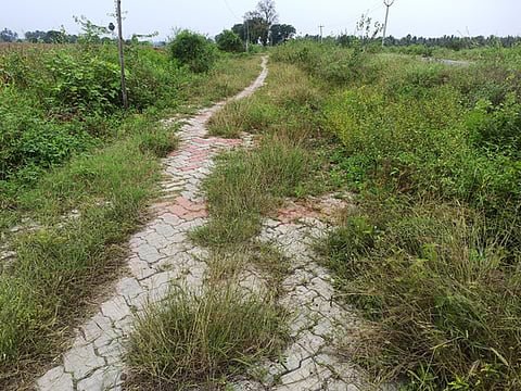 பழனிக்கு பாதயாத்திரை வரும் பக்தா்களுக்காக அமைக்கப்பட்டு சத்திரப்பட்டி அருகே பராமரிப்பின்றி உள்ள பேவா் பிளாக் கற்கள் பதிக்கப்பட்ட தனிப்பாதை.