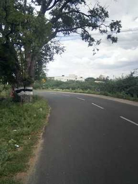 அருப்புக்கோட்டை நகராட்சிக் குடியிருப்பு அருகே உள்ள ஆபத்தான சாலை வளைவு.