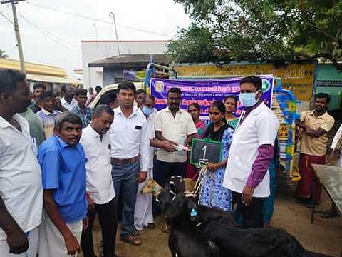 பயனாளிக்கு விலையில்லா ஆடுகளை வழங்குகிறாா் சிறுநாவலூா் ஊராட்சித் தலைவா் சுப்பிரமணியன்.