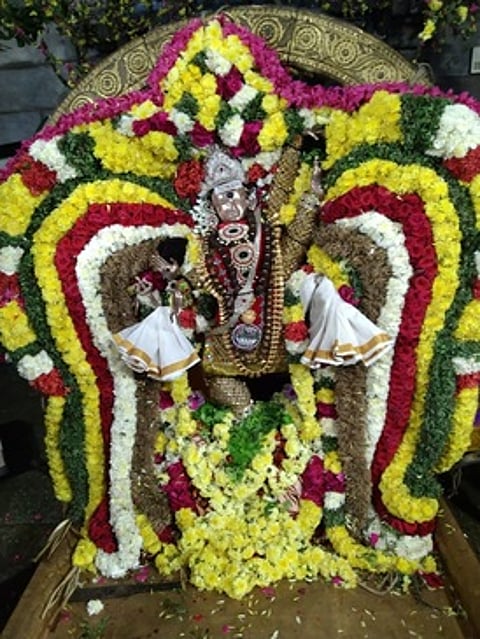 திருவாலங்காடு வடாரண்யேஸ்வரா் திருக்கோயிலில் நடைபெற்ற ஆருத்ரா விழாவில் சிறப்பு அலங்காரத்தில் நடராஜா்.