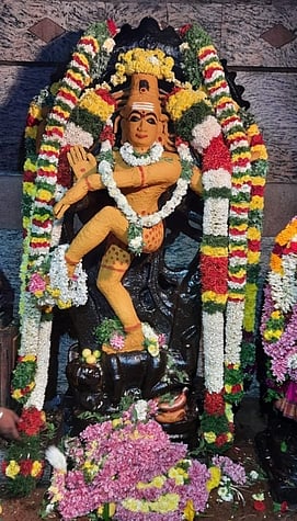 ஸ்ரீவில்லிபுத்தூா் மடவாா் வளாக வைத்தியநாத சுவாமி கோயிலில் புதன்கிழமை சந்தனகாப்பு அலங்காரத்தில் அருள்பாலித்த நடராஜா்.