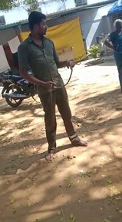 கொம்பேரி நாகப்பாம்பை பிடித்த ஜெகதீசன்.