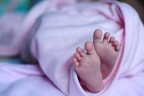 வாடகைத் தாய் முறைகேடு