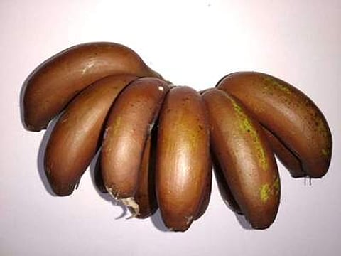 செவ்வாழைப்பழம்