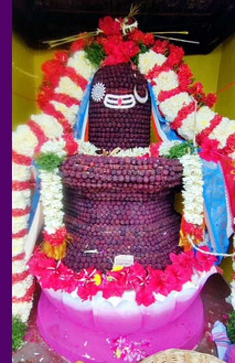 அத்தி விருட்ச சஹஸ்ர ருத்ராட்ச சிவலிங்கத்துக்கு கும்பாபிஷேகம்