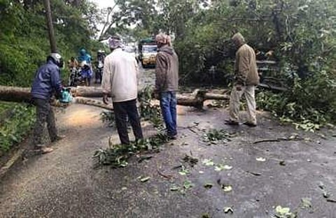 கொல்லிமலை மலைப்பாதையில் முறிந்து விழுந்த மரங்களை அகற்றும் வனத்துறை ஊழியா்கள்.