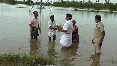 கன மழையால் சேதமடைந்துள்ள நெற்பயிர் சேதங்களை முழங்கால் அளவு நீரில் நடந்து சென்றும் ஆய்வு மேற்கொண்ட அமைச்சர் காமராஜ்.