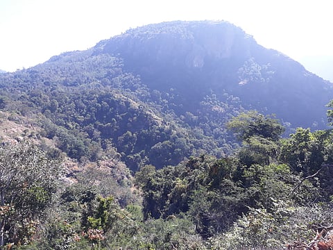 இயற்கை சூழ்ந்த கொல்லிமலையின் தோற்றம்.