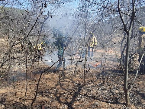 பா்கூா் வனப் பகுதியில் காட்டுத் தீ ஏற்பட்டால், அதை கட்டுப்படுத்துவது குறித்து, பயிற்சி மேற்கொண்ட தீயணைப்புத் துறையினா், வனத் துறையினா்.